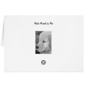 Golden Eyes Cards (Back Horizontal)