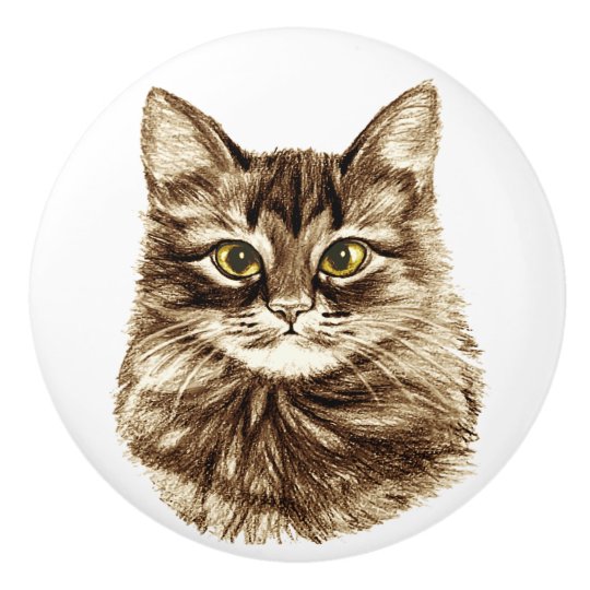 Golden Eyes Cat Cabinet Cupboard Drawer Pulls Knob Zazzle Com