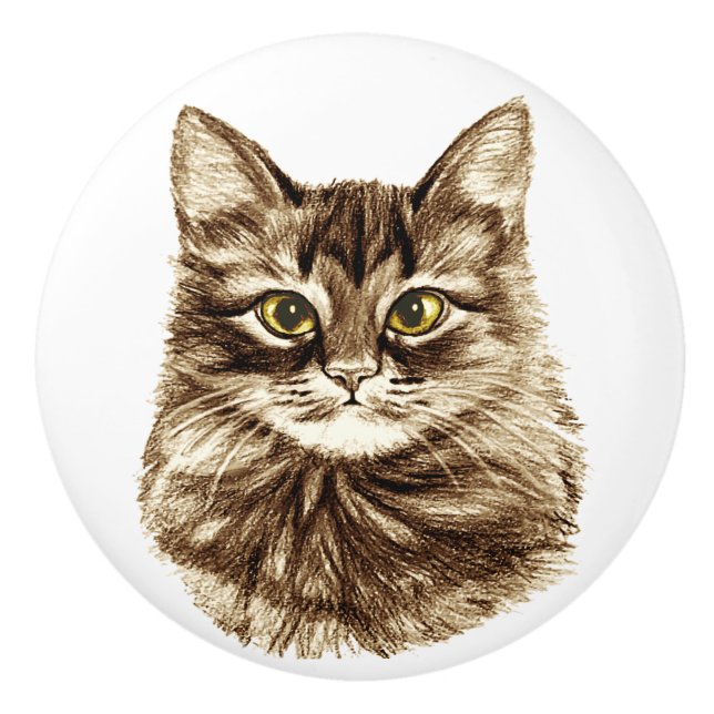 Golden Eyes Cat Cabinet Cupboard Drawer Pulls Knob (Front)