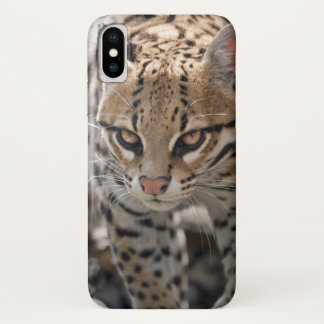 Golden Eyes iPhone X Case