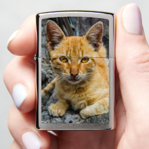 Golden Eyes Zippo Lighter