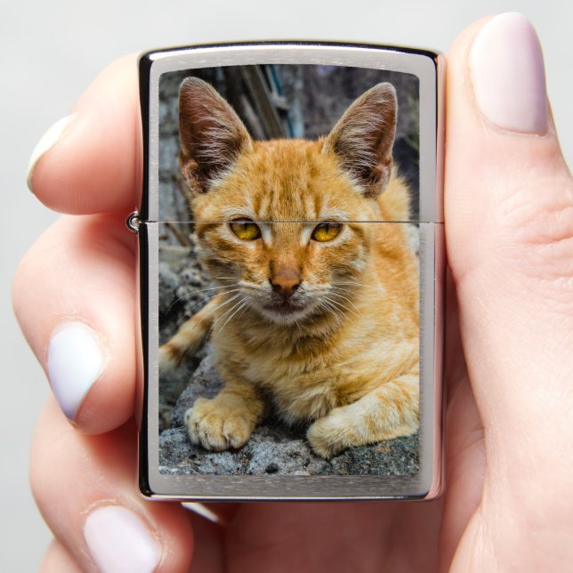 Golden Eyes Zippo Lighter (In Hand)