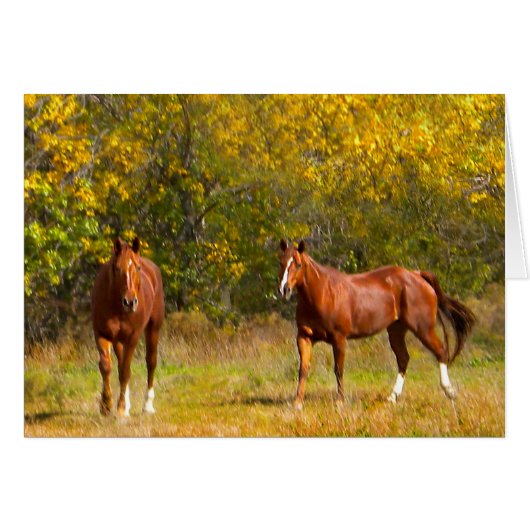 Golden Fall Horses Cards (Front Horizontal)