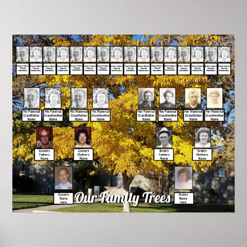 Golden Fall Leaf Tree Photo 2 Family Trees Poster