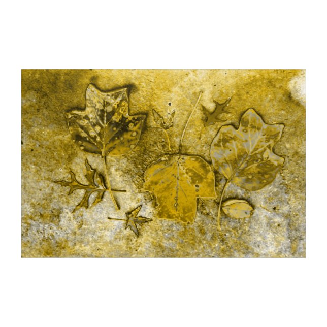 Golden Fall Leaves Acrylic Print (Front)