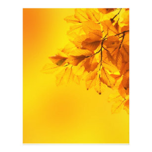 Golden Fall Leaves Background Flyer