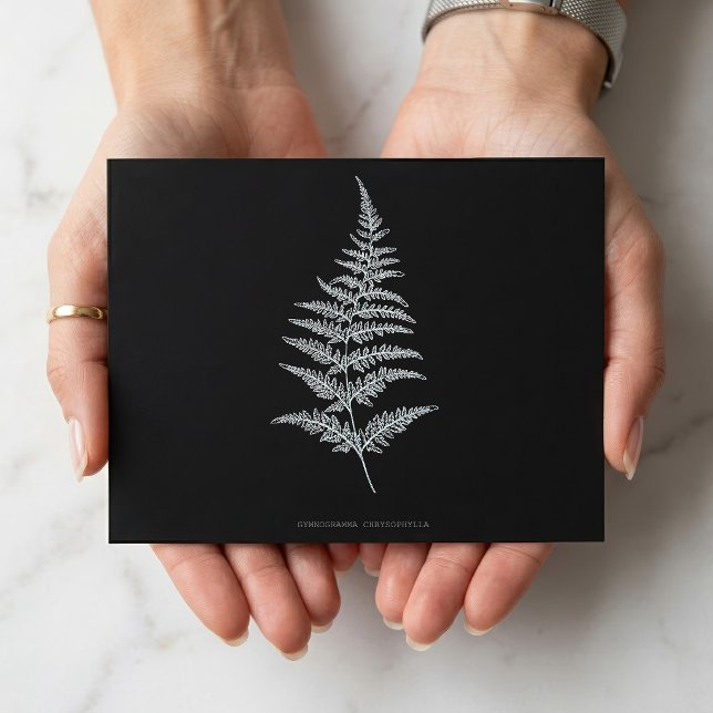 Golden Fern Frond, Gymnogramma Chrysophylla Postcard (Golden Fern Frond, Gymnogramma Chrysophylla. Postcard)