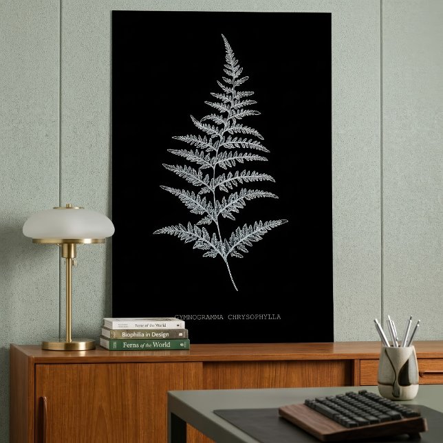 Golden Fern Frond, Gymnogramma Chrysophylla Poster (Golden Fern Frond, Gymnogramma Chrysophylla. Poster)