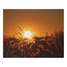Golden Field Faux Canvas