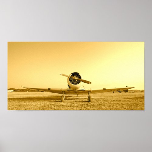 Golden Fighter Airplane Antique Aircraft Poster