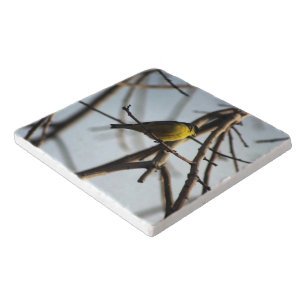 Golden Finch in Tree Palm Desert California Trivet
