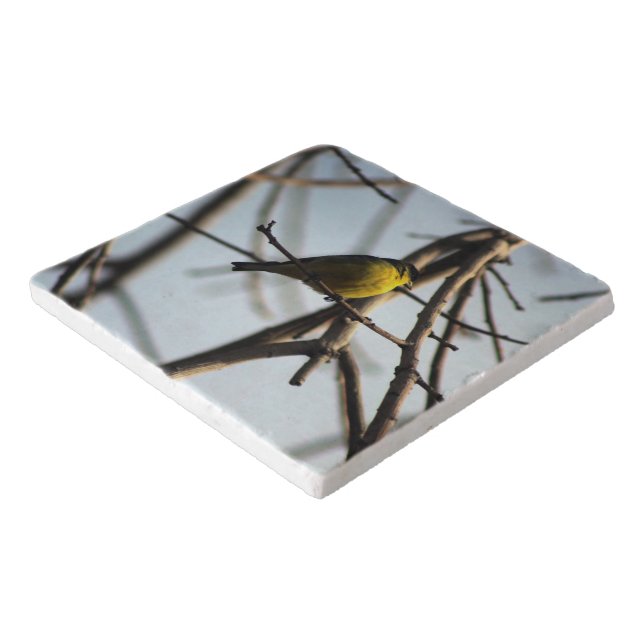Golden Finch in Tree Palm Desert California Trivet (Corner)