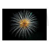 Golden Fireworks (Front Horizontal)