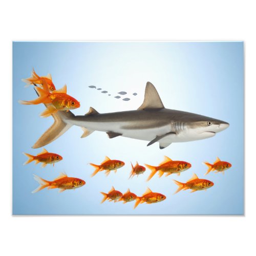 Golden Fish and Shark Photo Print
