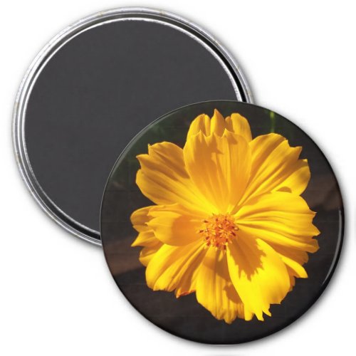 Golden Flower Macro Photography  Magnet