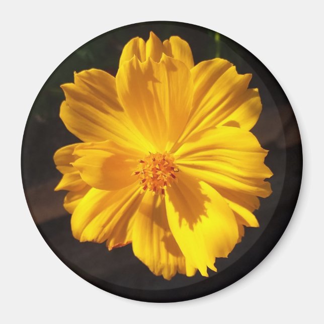 Golden Flower Macro Photography  Magnet (Front)