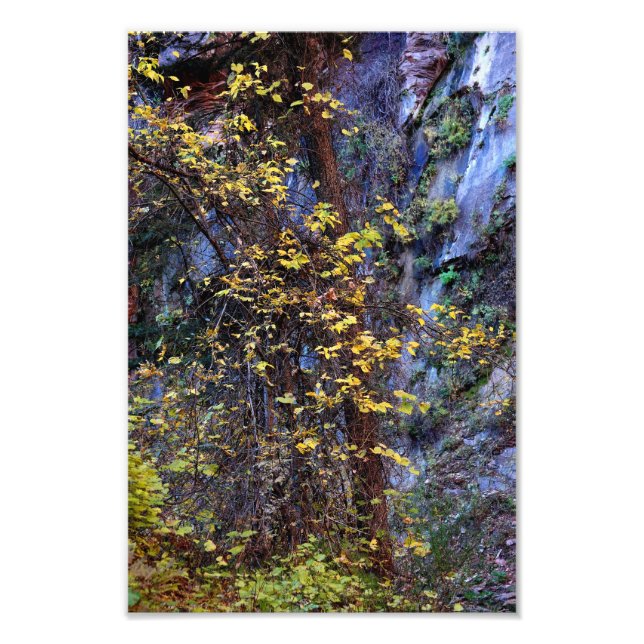 Golden foliage photo print (Front)