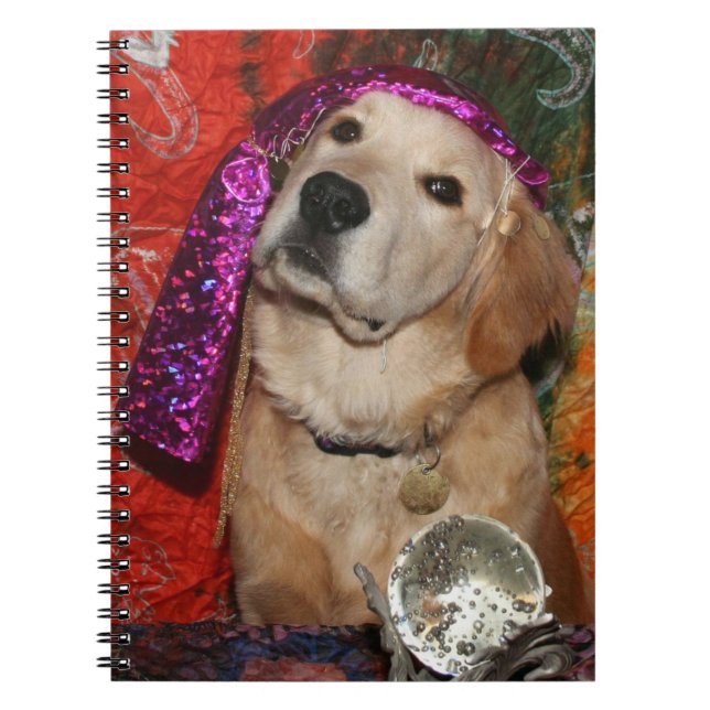 Golden Fortune Teller Notebook (Front)