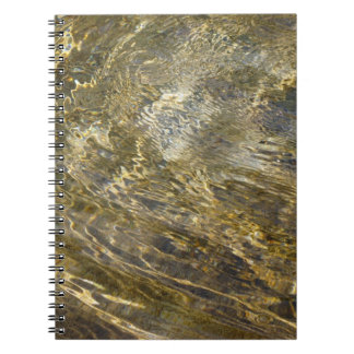 Golden Fountain Water Notebook