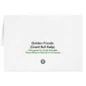 Golden Fronds Cards (Back Horizontal)