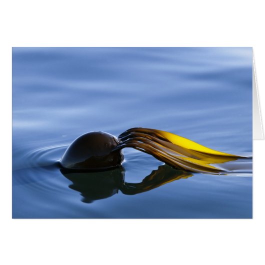 Golden Fronds Cards (Front Horizontal)