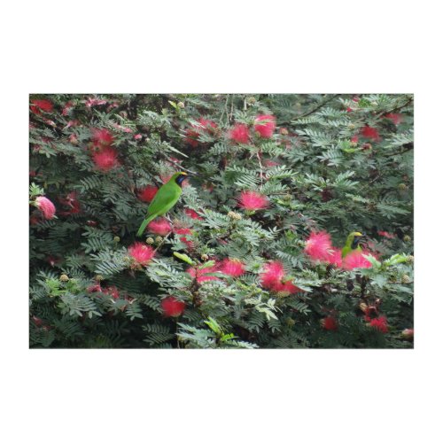 Golden_fronted Leafbirds Green Leaves Pink Flowers Acrylic Print