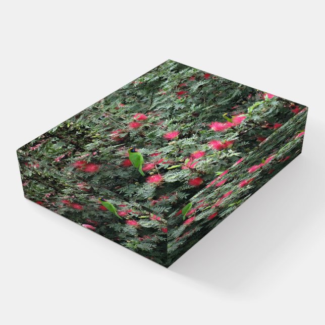 Golden-fronted Leafbirds Pink Flowers Nature Photo Paperweight (Angled)
