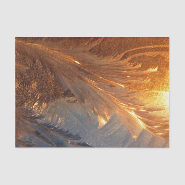 Golden Frost Tissue Paper (Front)