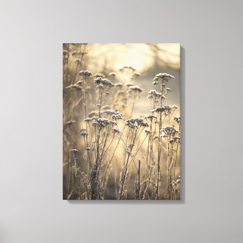 Golden Frosty Morning Flemish Countryside Canvas Print