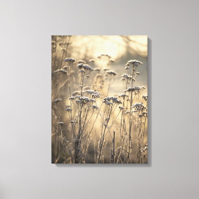 Golden Frosty Morning Flemish Countryside Canvas Print (Front)