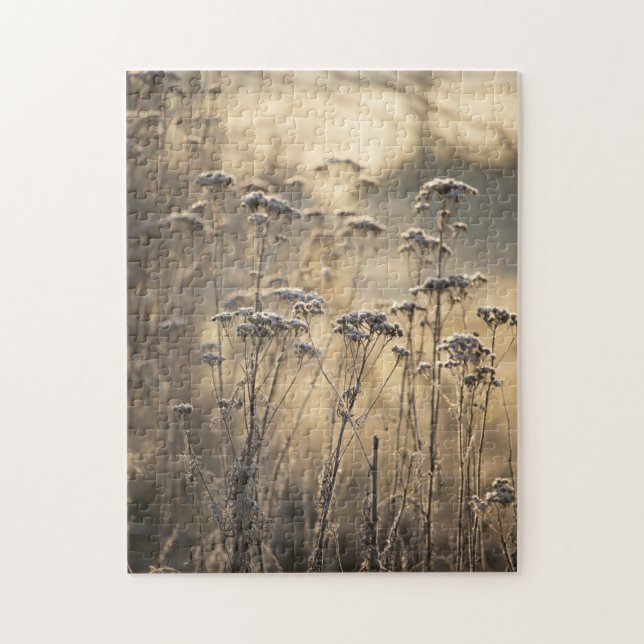 Golden Frosty Morning Flemish Countryside  Jigsaw Puzzle (Vertical)