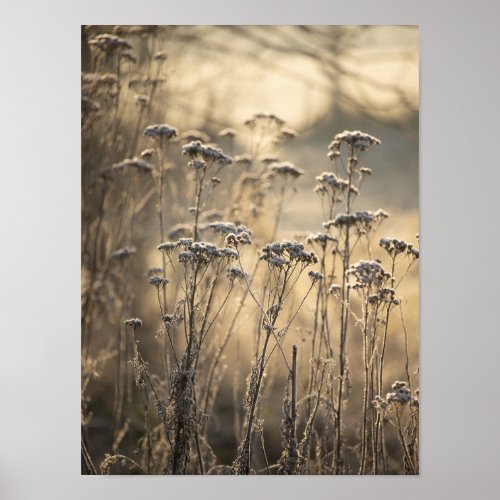 Golden Frosty Morning Flemish Countryside Poster