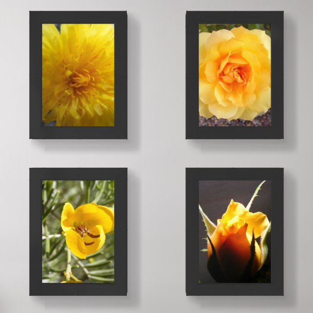 Golden Garden Collection - Print Set (Front)