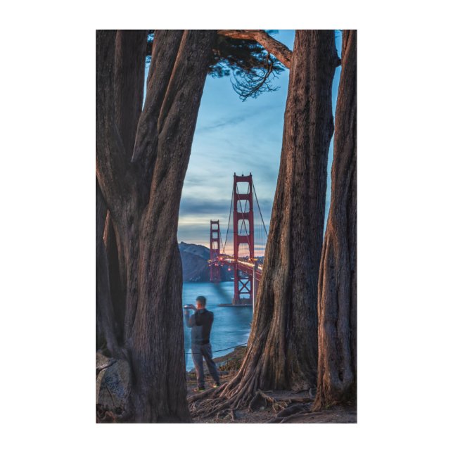 Golden Gate Bridge Frame by Trees  Acrylic Print (Front)