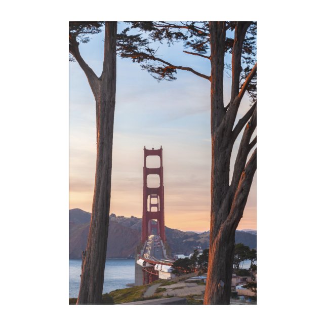 Golden Gate Bridge Framed by Tall Trees Acrylic Print (Front)
