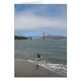 Golden Gate Bridge Jake Cards