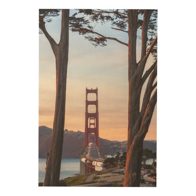 Golden Gate Bridge Through Tall Cypress Trees  Wood Wall Art (Front)
