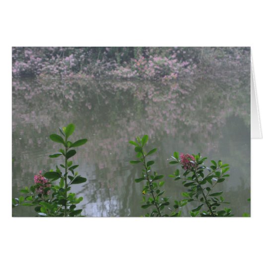 Golden Gate Park 1 Cards (Front Horizontal)