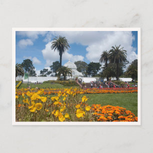 Golden Gate Park San Francisco Flowers Postcard
