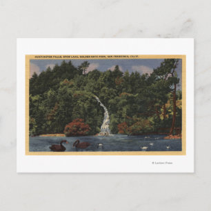 Golden Gate Park, Stow Lake, Huntington Falls Postcard