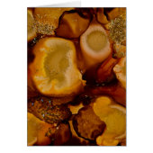 Golden Geode collection (Front)