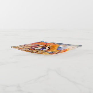 GOLDEN GIRL  chow fused glass trinket dish