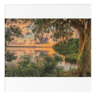Golden glow acrylic print