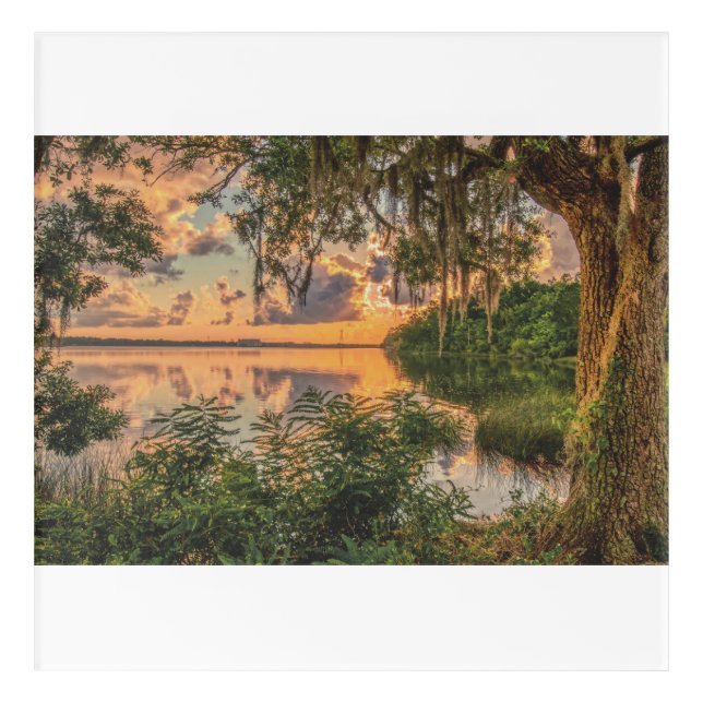 Golden glow acrylic print (Front)