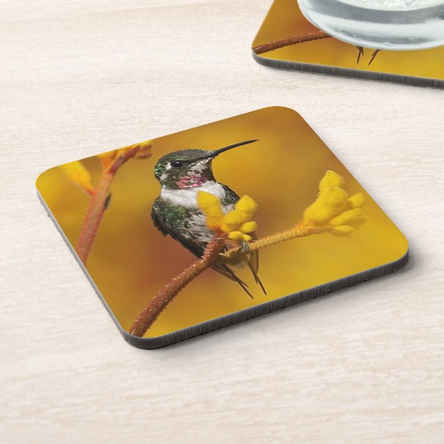 Golden Glow Beverage Coaster (Left Side)