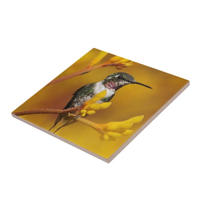 Golden Glow Ceramic Tile (Side)