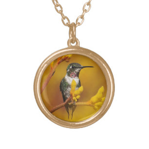 Golden Glow Gold Plated Necklace