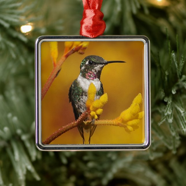 Golden Glow Metal Ornament (Tree)