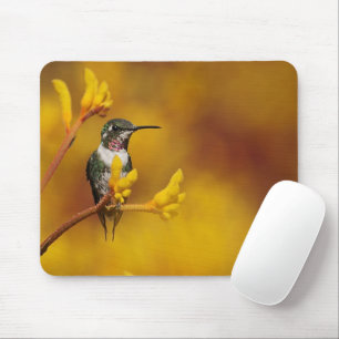 Golden Glow Mouse Pad