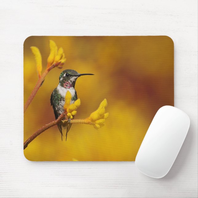 Golden Glow Mouse Pad (With Mouse)